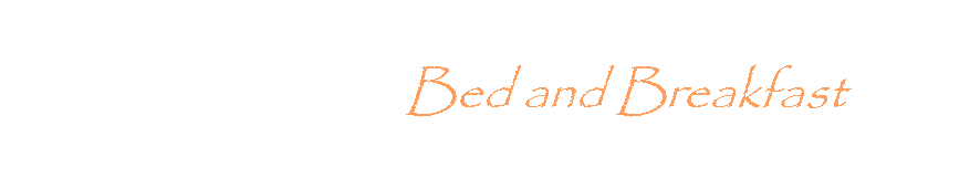 Casella di testo:                               Bed and Breakfast